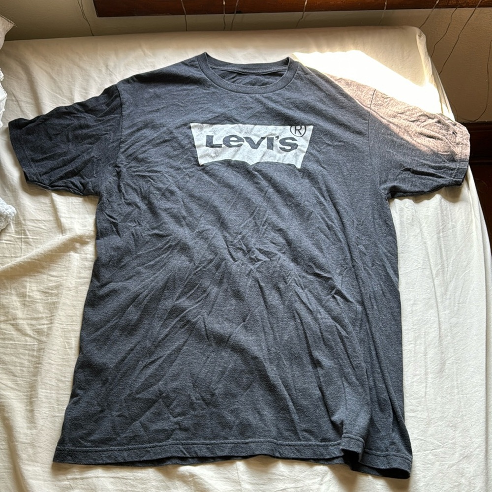 Levi, large, dark grey